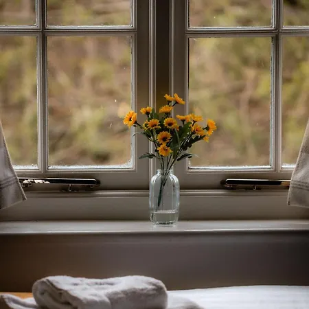 Sunflower - A Charming Family Holiday home *